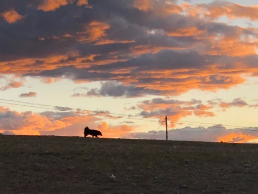 from clipboard